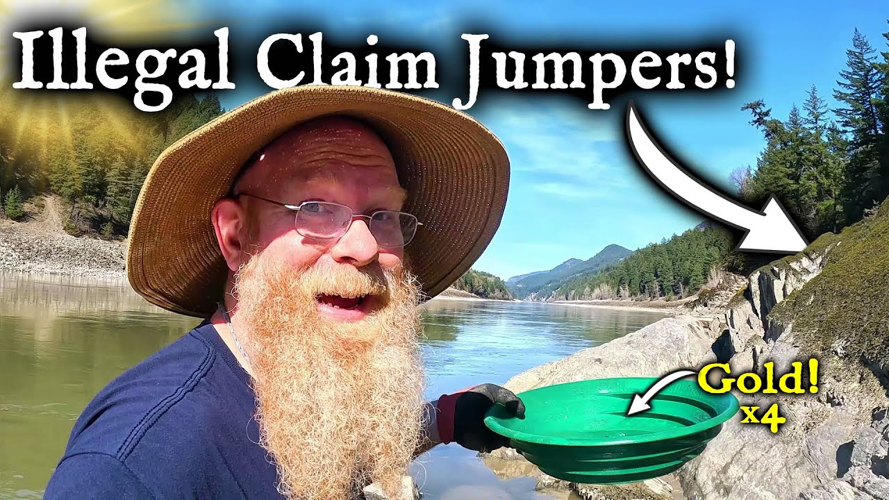 Thrashes12's tweet card. ✂️ Let's see if we can find some nuggets!