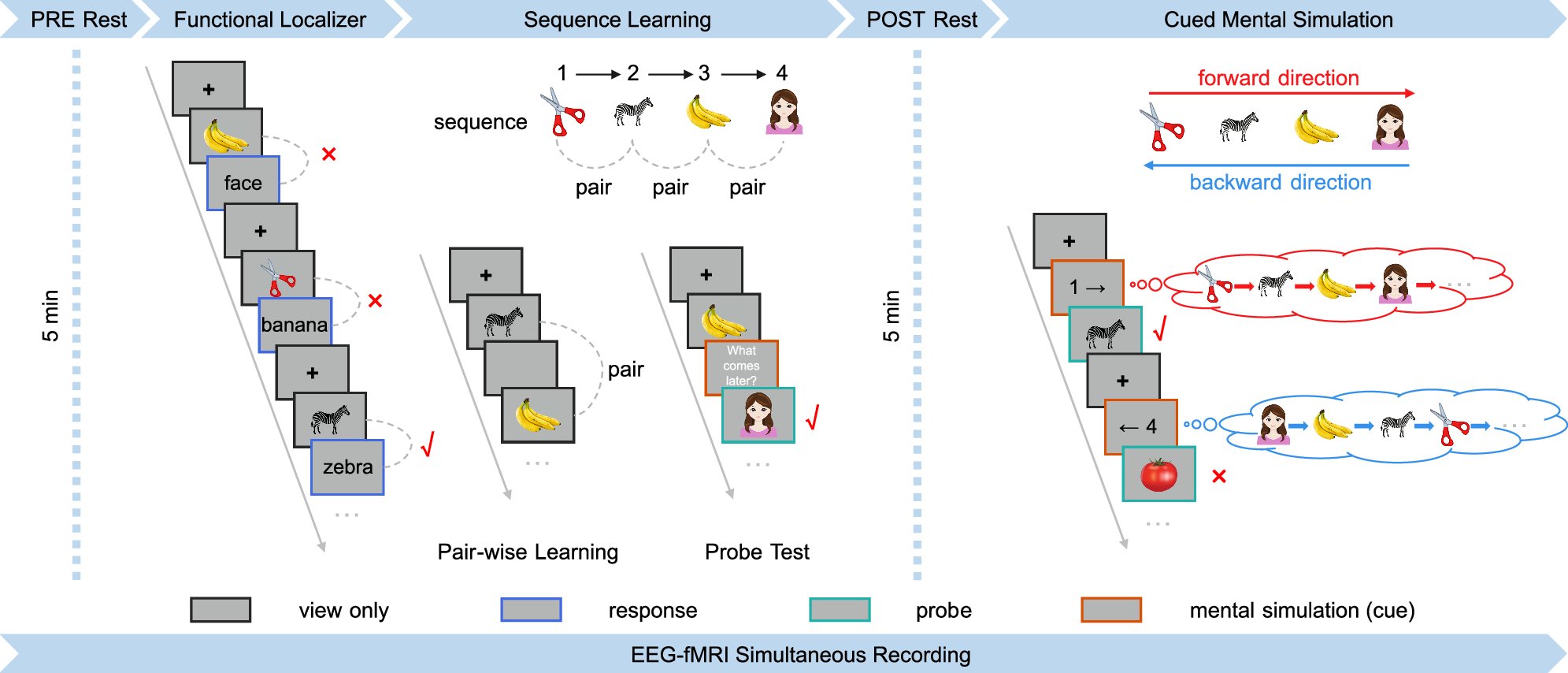 HuangQi9932's tweet card. Nature Communications - This study uses simultaneous EEG-fMRI to investigate how the brain replays past experiences, revealing that transient replay events by EEG correspond with increased...