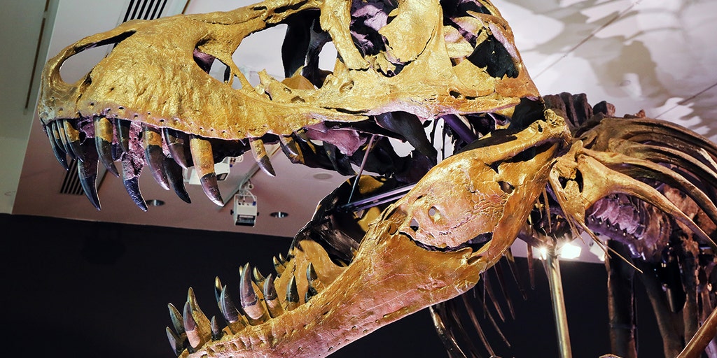 ScriptCards's tweet card. Dwyane “The Rock” Johnson appeared on the “ManningCast” during the NFC wild-card playoff game between the Los Angeles Rams and Arizona Cardinals on Monday night.