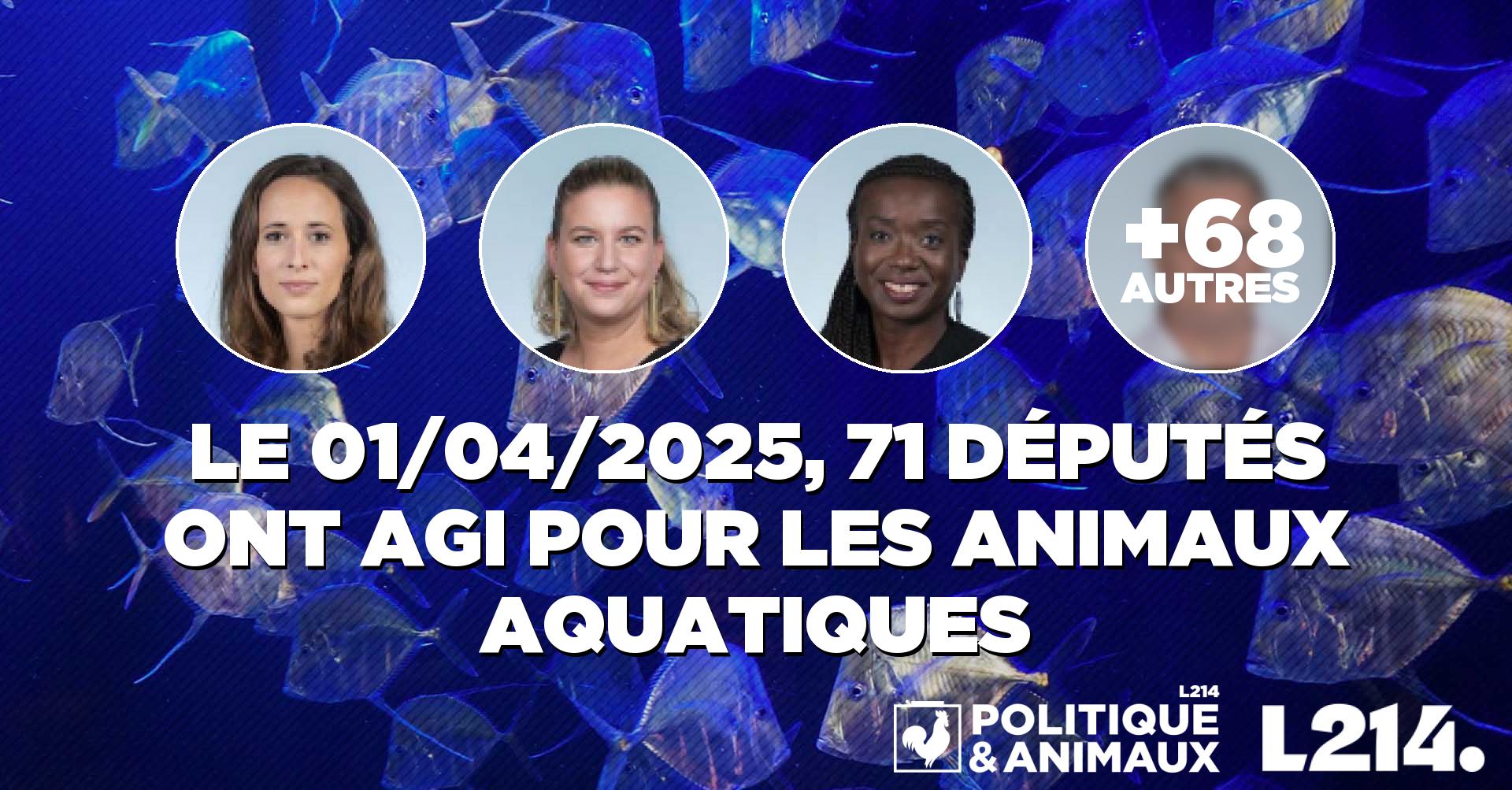 lilichap19's tweet card. N° 1219 ASSEMBLÉE NATIONALE CONSTITUTION DU 4 OCTOBRE 1958 DIX-SEPTIÈME LÉGISLATURE Enregistré à la Présidence de l’Assemblée nationale le 1er avril ...