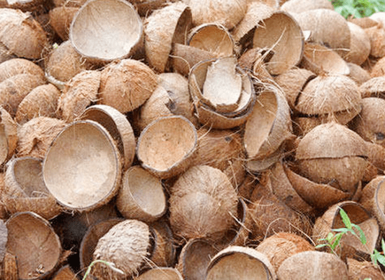 SpecialluNM's tweet card. ಪ್ರತಿ ಮನೆಯಲ್ಲೂ ತೆಂಗಿನ ಕಾಯಿ ಬಳಸುತ್ತಾರೆ. ಹಿಂದೂಗಳ ಮನೆಗಳಲ್ಲಿ ದೇವರ ಪೂಜೆಗೆ ತೆಂಗಿನ ಕಾಯಿ ಬೇಕೇ ಬೇಕು. ಹಿಂದೂಗಳಲ್ಲದಿದ್ದವರು ಅಡುಗೆಯಲ್ಲಿ ಬಳಸ್ತಾರೆ. ಚಟ್ನಿ, ಸಾಂಬಾರ್‌, ಸಿಹಿ ತಿಂಡಿ,