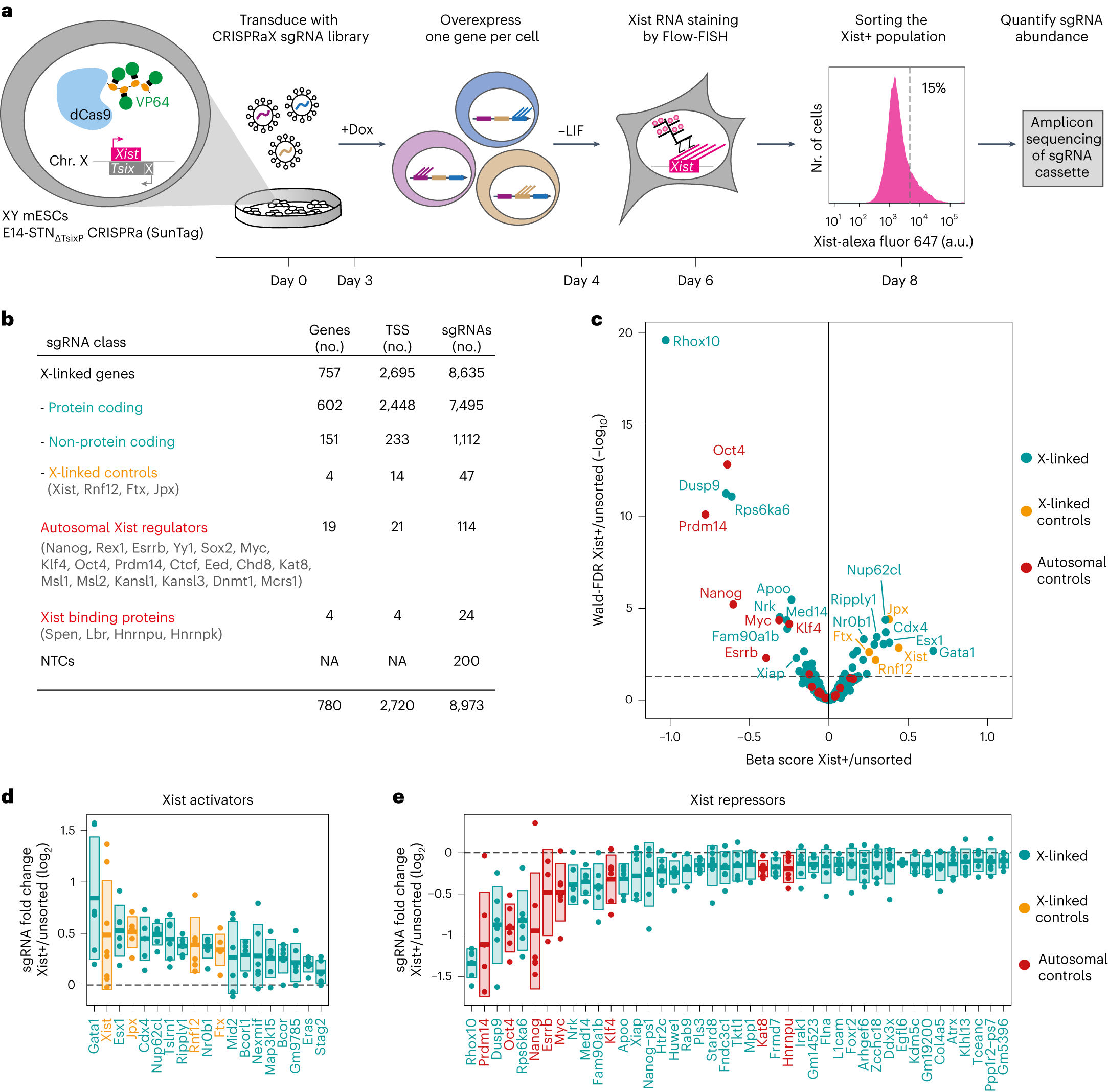 EddaGSchulz's tweet card. Nature Cell Biology - Through a CRISPR-activation screen, Ravid Lustig et al. show that GATA transcription factors activate long-range Xist enhancers to upregulate Xist expression and initiate X...