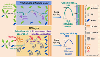 JohnNeware's tweet card. This study introduces a PSS-MMT composite layer on the anode of anode-free Li-metal batteries. PSS will self-assemble, and its non-polar components repel solvents while negatively charged MMT...