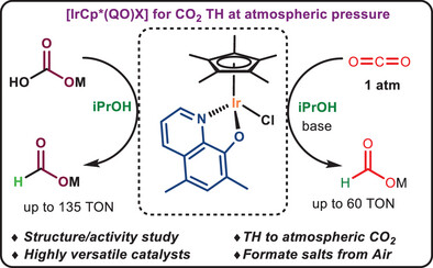 kevin_mgc's tweet card. [IrClCp*(QO)] complexes are efficient catalysts for the transfer hydrogenation of CO₂ and bicarbonate salts under mild conditions. This process enables formate production without hazardous H₂ gas,...