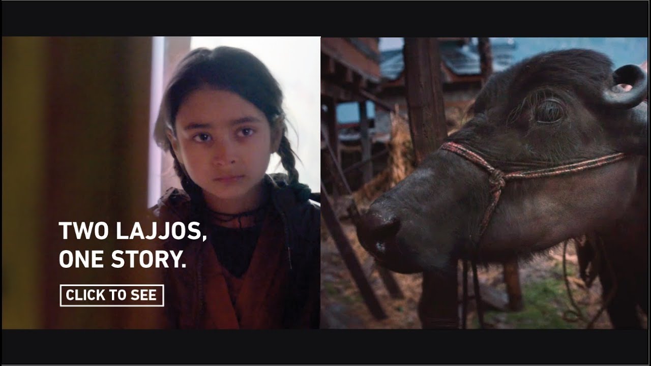 IlaArun2's tweet card. The Tale of 2 Lajjos | Empowering Girls With Education | Project...