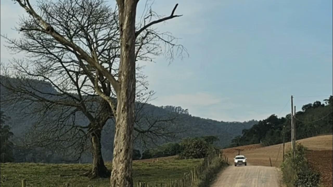 FillipyPirolla's tweet card. Um novo ciclo vem aí ♪ Querido Ser 🪽