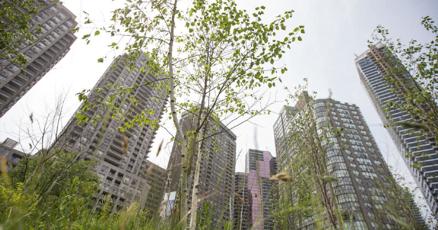 ecdevdotorg's tweet card. Expansion proposal part of efforts to reach 40 per cent tree canopy. Current tree coverage is at 27 per cent.