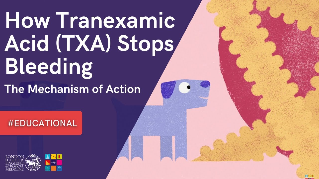 CTU_LSHTM's tweet card. INFORMATIVE 💡|| How Tranexamic Acid (#TXA) Stops Bleeding: The...