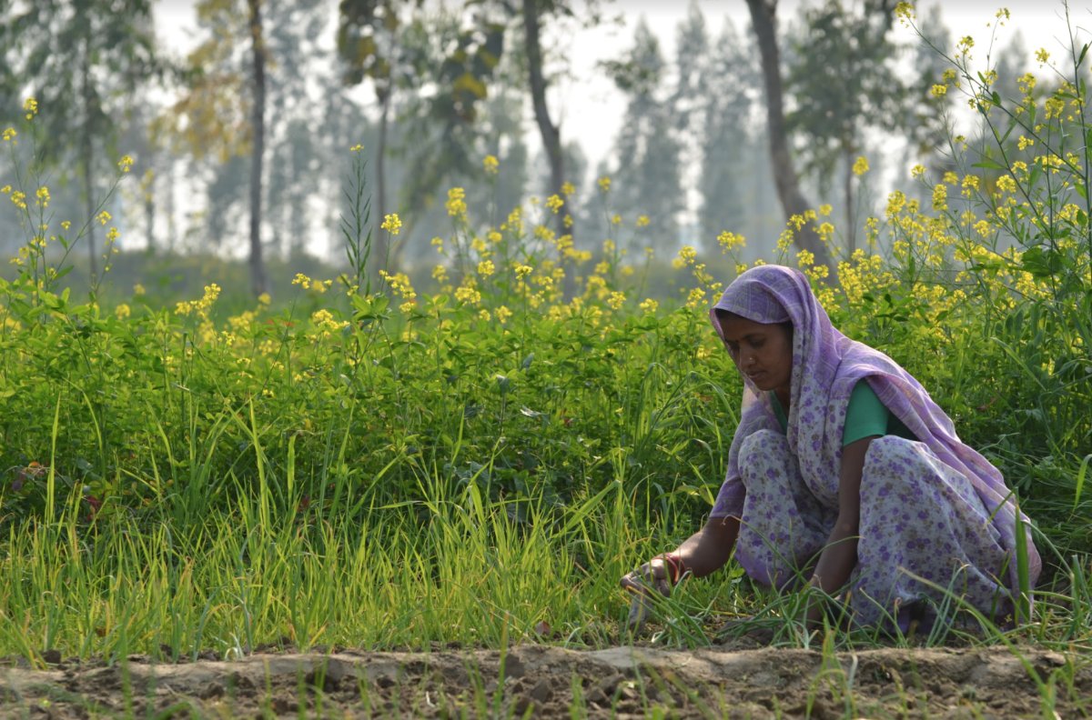 DataDotOrg's tweet card. To drive sustained action by policy- and decision-makers, journalists, and citizens, we need to make a clear and evidence-based causal connection between climate change and human health. Being able...