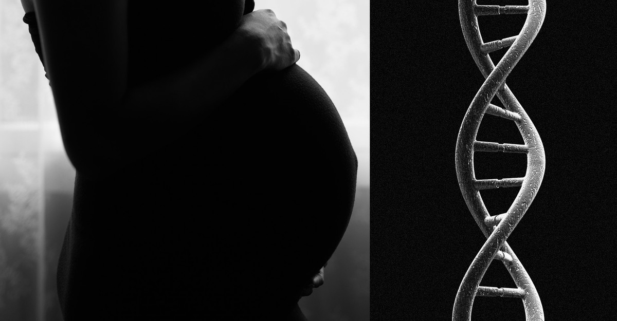 TheAtlantic's tweet card. You carry literal pieces of your mom—and maybe your grandma, and your siblings, and your aunts and uncles.