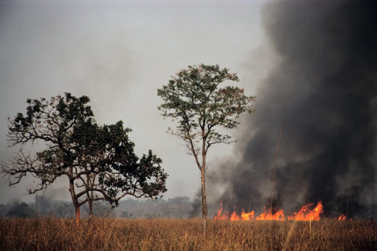 ClimateC_CAG's tweet card. Increasing amounts of black carbon in the atmosphere are leading to extreme rainfall in Asian countries such as India and China, suggested a policy brief from the Center for Study of Science,...