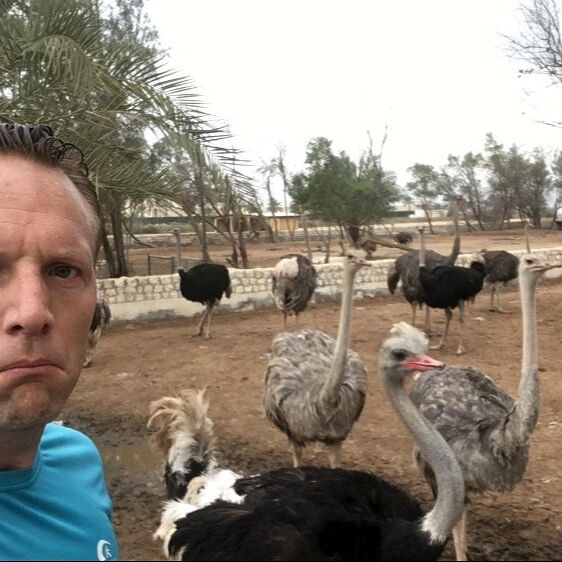 NickTurner2012's tweet card.