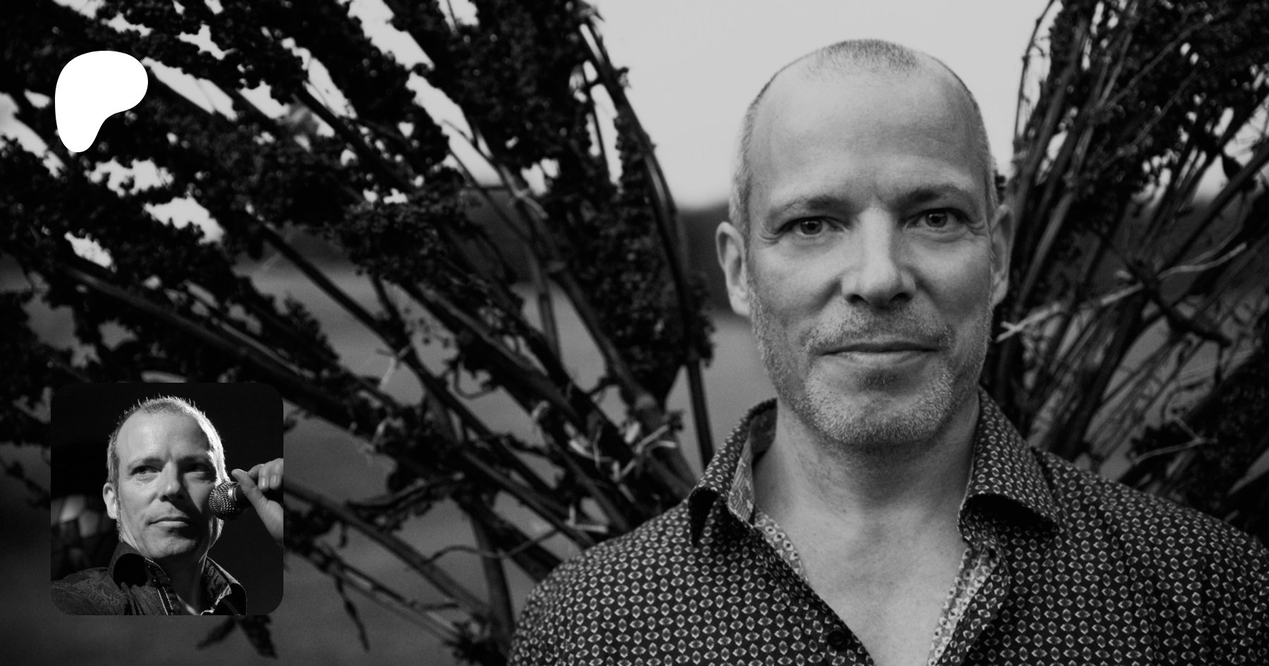 tomasjensen3's tweet card. en train de créer des chansons, des vidéoclips et des dessins