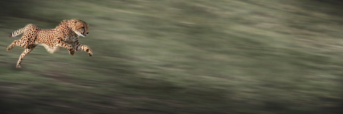 chillilogicsoft's tweet card. Typical supplier contracts are not suited to agile software projects where there is no requirements specification – so what should IT leaders do?