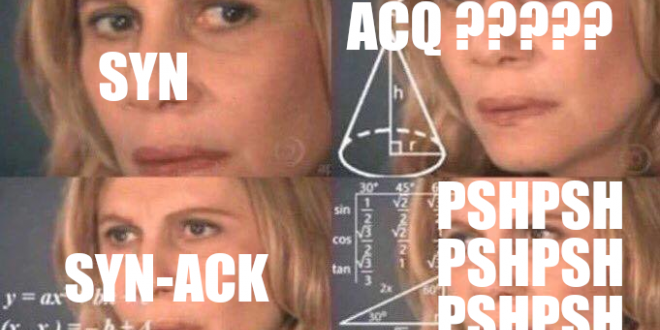 reverseame's tweet card. Exploiting a remote heap overflow with a custom TCP stack