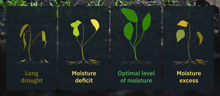 Coda_Sensor's tweet card. Measuring soil moisture is important in many fields like agriculture, environmental science, and hydrology.