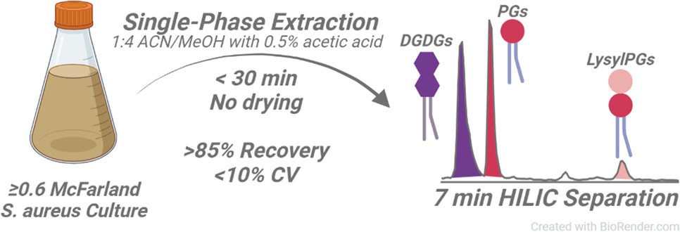 KM_Hines's tweet card. Analytical and Bioanalytical Chemistry - The lipid membrane is gaining appreciation as a critical factor in the emergence of antibiotic resistance, both for antibiotics that target lipid synthesis...