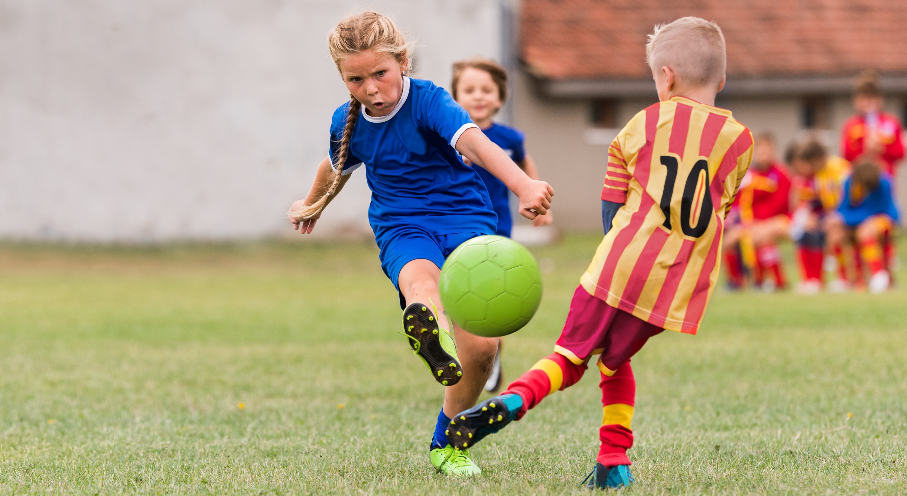 Treesprite_'s tweet card. I just signed the petition for women's football to be properly funded and invested in to build on the success of the Lionesses’ win. Will you join me?