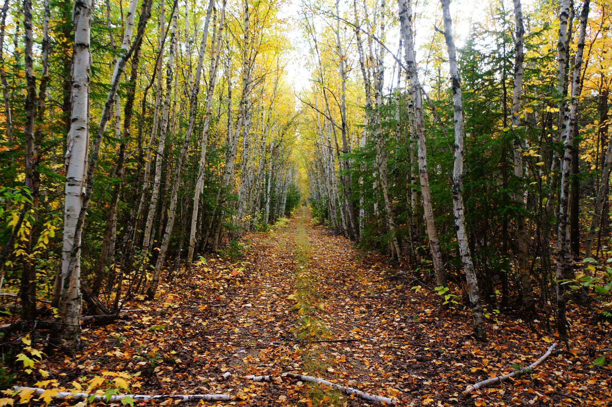 IISD_SDGs's tweet card. By Davide Fanciulli, Program Officer, Lead on Intergenerational Impact, Beyond Lab at UN Geneva This article explores one of the key themes of the Beyonds Challenge Initiative – the great unknowns....