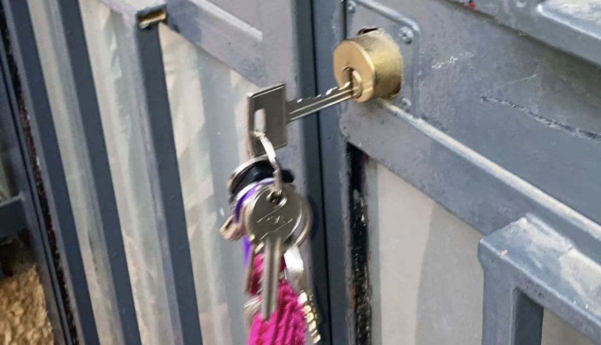 SusanaHornillo's tweet card. Los hechos se han producido en las horas previas del Día Mundial contra el Cáncer de Mama