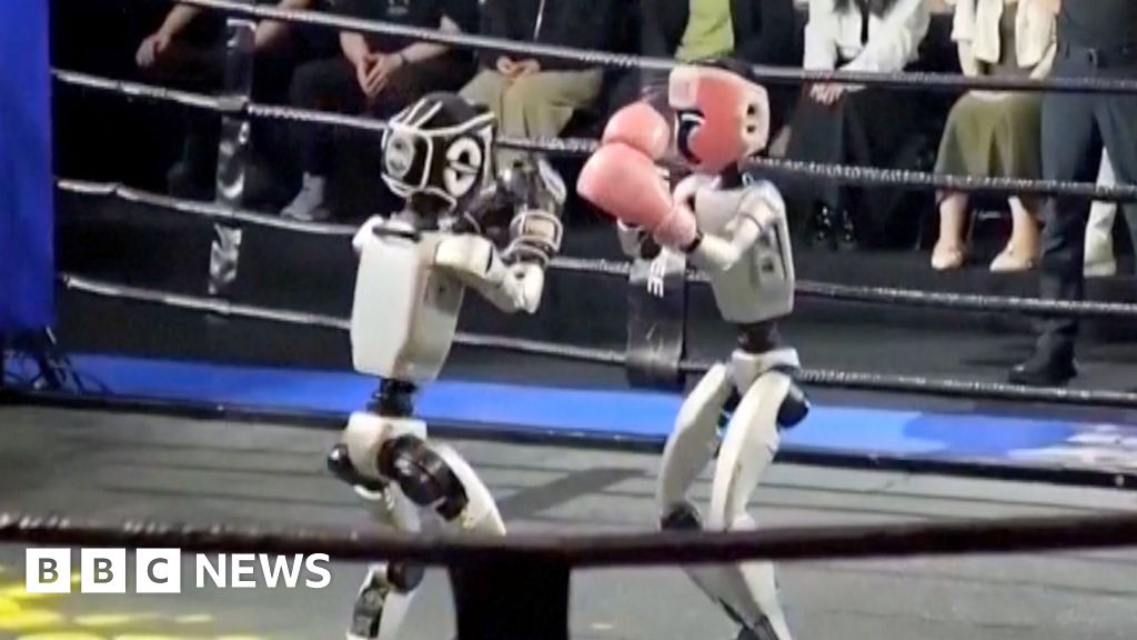 herrbartlett1's tweet card. The two humanoid robots traded punches while fans watched on, in a world-first humanoid robot fighting event.