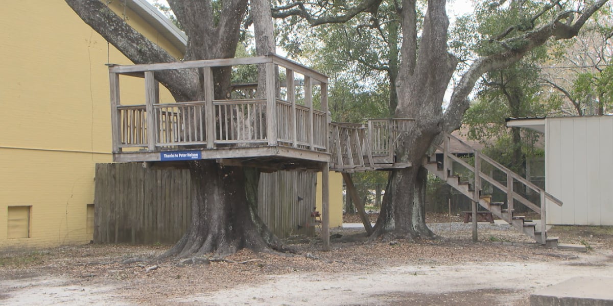 HughKeeton's tweet card. Pete Nelson designed and built the first tree house at Lynn Meadows Discovery Center in Gulfport before the doors of the children’s museum opened in 1998.