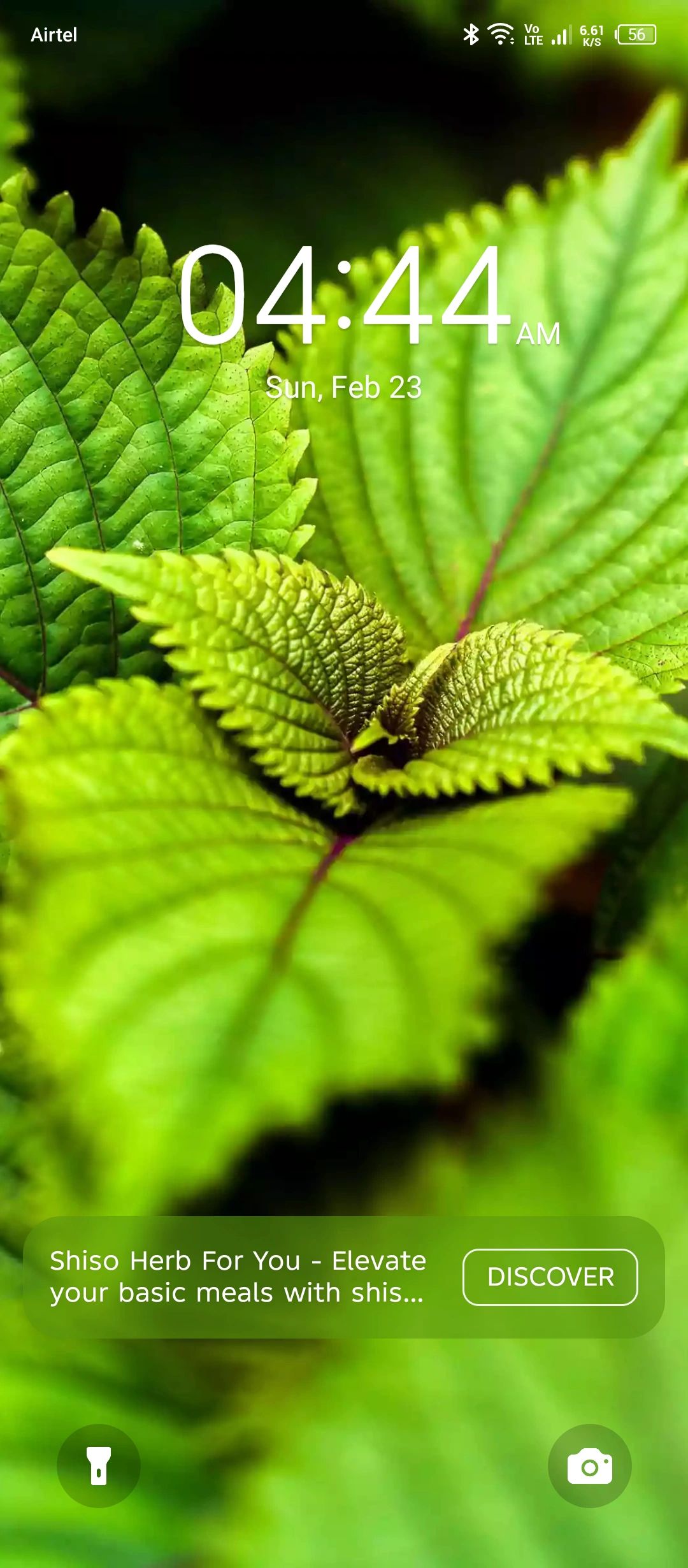 anil_chadha's tweet card. QUANTUM MECHANICS - WHERE EVERYTHING IS DENSITY. That is it. The small but complete explanation of this part of the world. Nothing exists/identifiable in isolation and everything is collective....