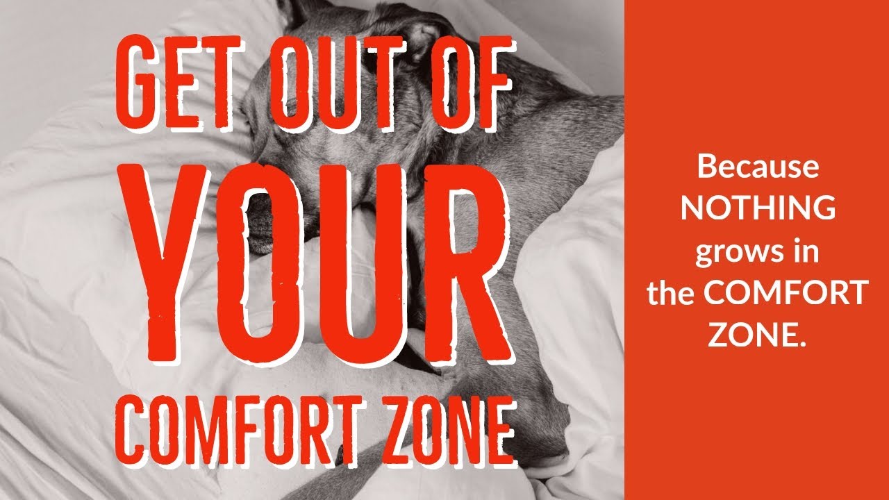 kakshaatutorial's tweet card. Comfortable situations never created winners 🦁