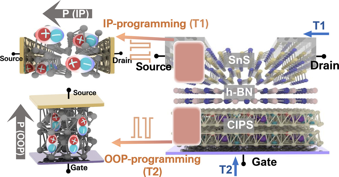 ChaoyiInfoMat6's tweet card. A dual-logic-in-memory device–a device that can simultaneously perform two logic operations using four states–is demonstrated through a single bidirectional polarization-integrated ferroelectric...