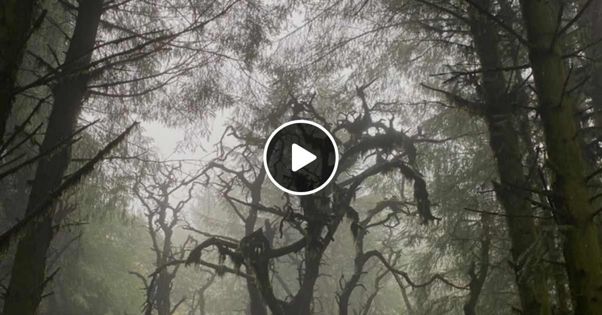 janiebFM's tweet card. Astral Signals is the latest musical excursion from the folks at Astral, bringing all manner of sounds and styles, great tunes and bad jokes. Founded in 2018 by a bunch of music-loving best mates,...