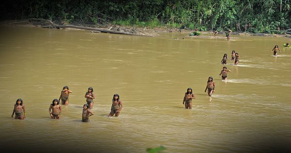 refillogic's tweet card. This crazy new law in Peru could unleash hell against some of the oldest isolated Indigenous peoples.