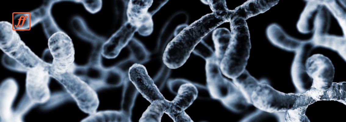 frequencyfound's tweet card. Y chromosome loss in aging men is linked to disease and a shorter lifespan. Learn what this genetic change means for men's health.