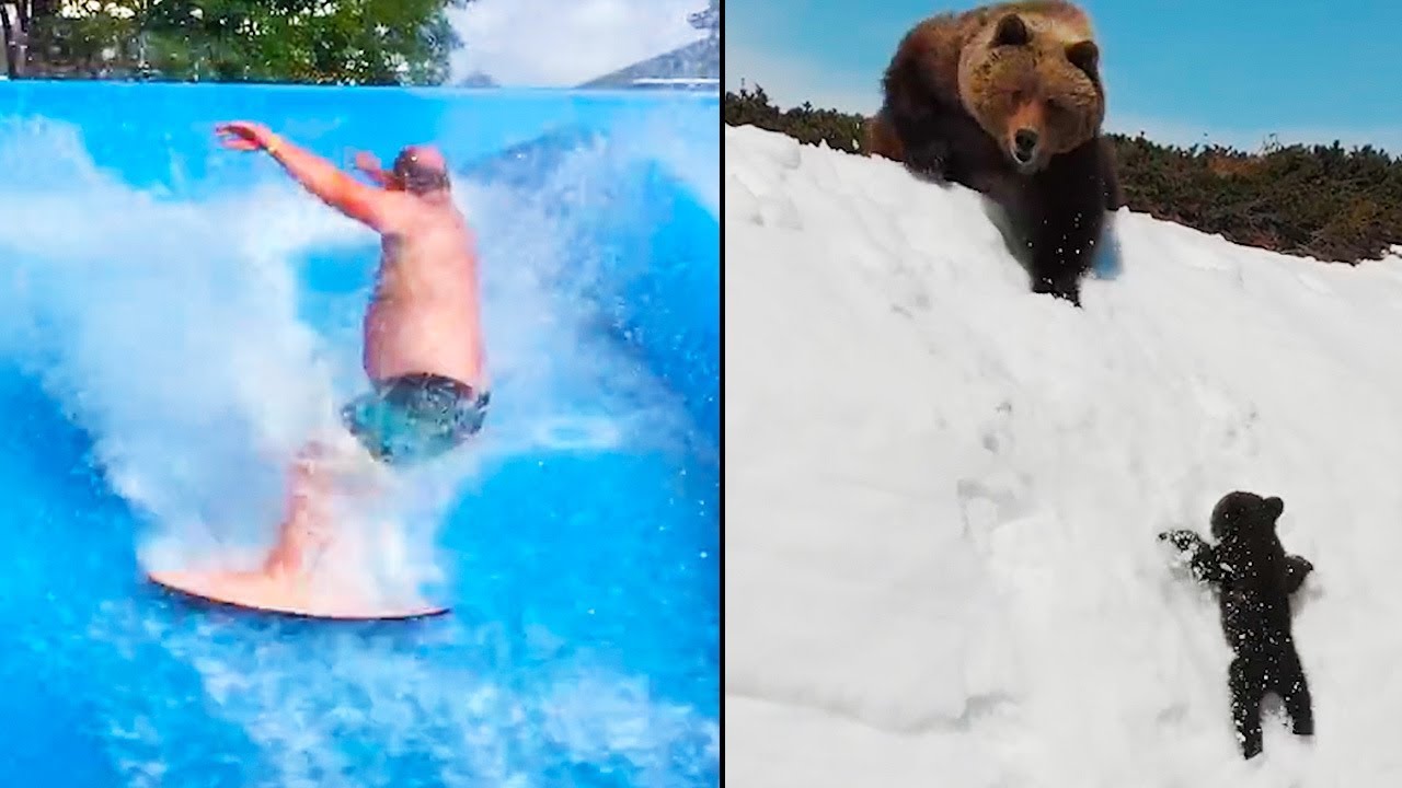 CodePelaa's tweet card. Ozzy Man Reviews: MEGA COMPILATION #8