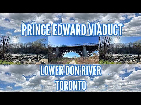 DaveJefferyNF's tweet card. Prince Edward Viaduct and Lower Don River #ThisIsSpring (04/24)