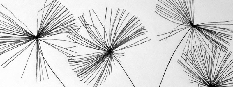 JenniferBadham's tweet card. ABM for the Social Scientist: A Practical Guide to Model Building and NetLogo, with Corinna Elsenbroich (CECAN Ltd) and Jen Badham (Durham University)
