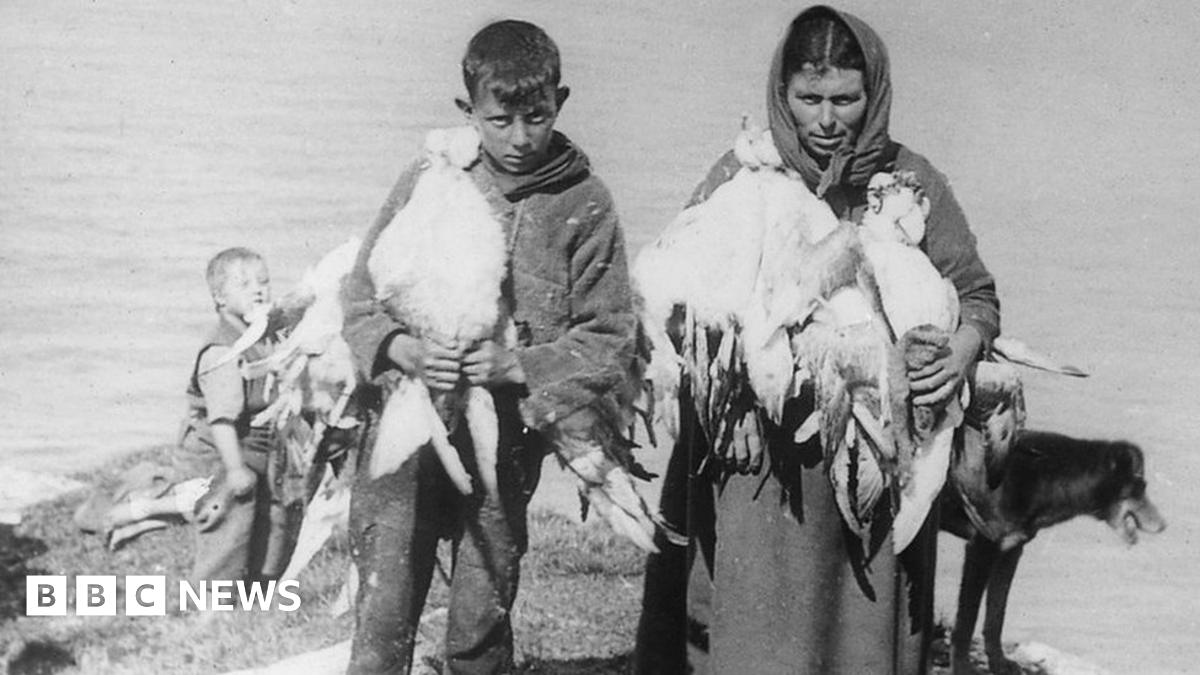 elisabeth04liz's tweet card. Thirteen men, 10 women and 13 children were evacuated from the remote island in 1930 because life had become too tough.