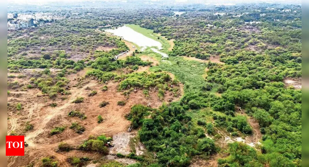 natconnectnow's tweet card. The Telangana government plans to shift University of Hyderabad to Future City and transform the 2,000 acres, including its campus, into a vast eco pa