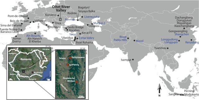 robertosaezm's tweet card. Al mismo tiempo que los Homo erectus comienzan a desarrollarse en África, con los ejemplares más antiguos conocidos datados en 2 Ma (millones de años), otros homininos realizaban marcas de corte en…