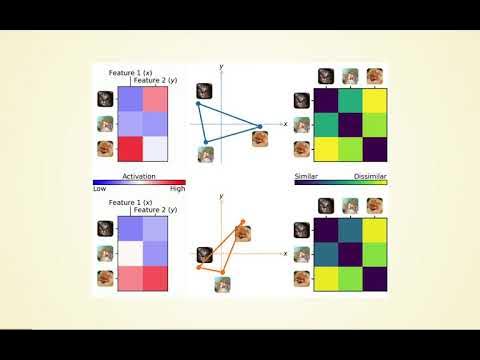haxbylab's tweet card. OHBM 2021 - 1963 - Precise cartography of individual brains with a...