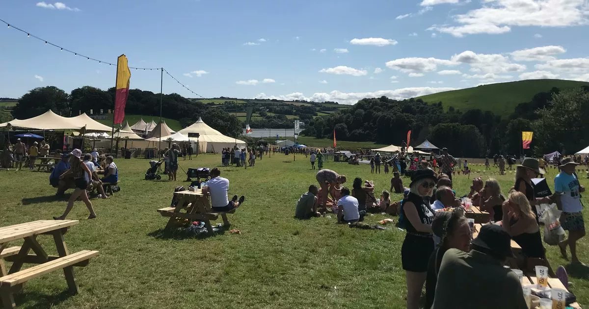 PurlDesign's tweet card. There are a LOT of famous acts this year