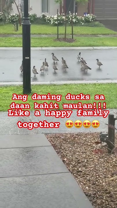 CabahugDah25988's tweet card. Please like and subscribe #music #highvibes #farming #highlights...