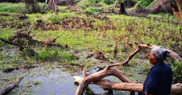 Tweet card summary image