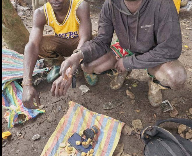 tv3_ghana's tweet card. The National Anti-Illegal Mining Operations Secretariat (NAIMOS) Task Force has stormed the Cape Three Points forest reserve. The task force arrested several
