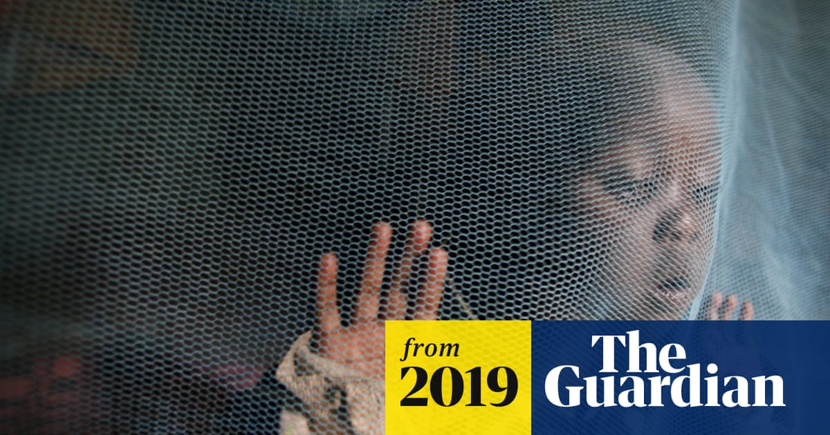 martinplaut's tweet card. Drugs derived from Ivermectin, which makes human blood deadly to mosquitoes, could be available within two years