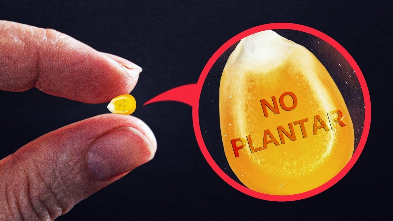 BinaryDemocrito's tweet card. Revelando Por Qué Los Agricultores No Pueden Legalmente Replantar Sus...