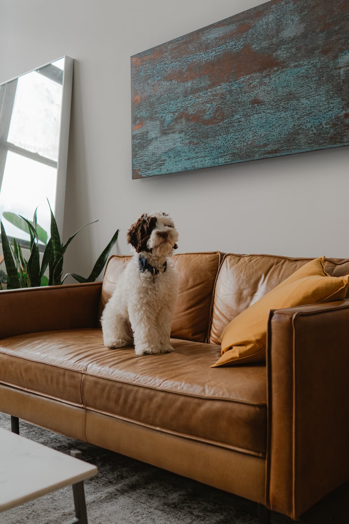 intelliheat's tweet card. Creative Radiators Eco-Conscious Heating, The Future of Sustainable Heating with Natural Stone & Radiant Technology. An innovative step toward sustainable, high-performance heating.