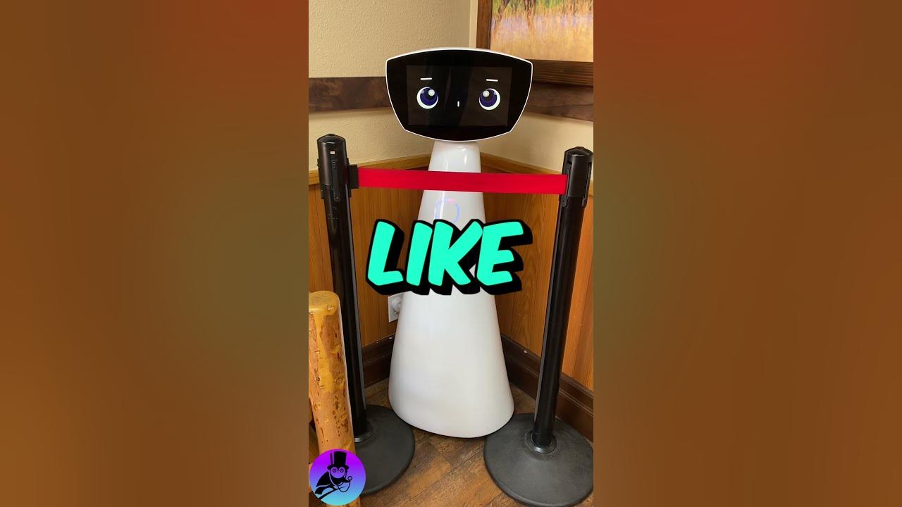 directorCSS's tweet card. Get to Know Robin the Robot #shorts