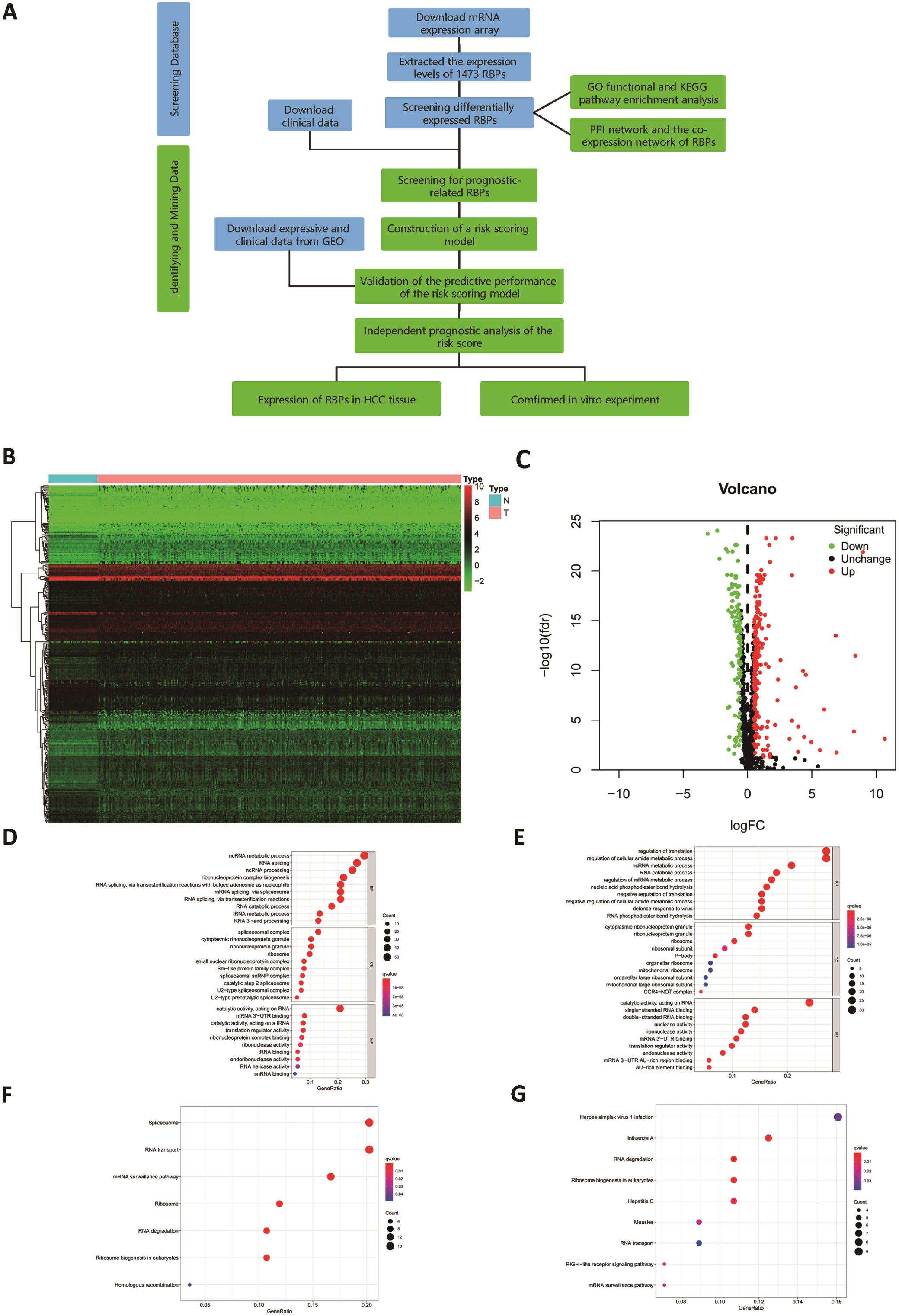 xiahepublishing's tweet card. The survival rate of patients with hepatocellular carcinoma is variable. The abnormal expression of RNA-binding proteins (RBPs) is closely related to the occurrence and development of malignant...