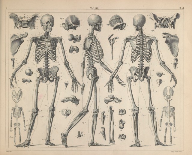 bullypulpit_hq's tweet card. System Mastery 278 – The Skeletons Is it too late to call this a theme month? Because it turned out to be a theme month. Cool minimalist projects by designers we like. Weird! The Skeletons is…