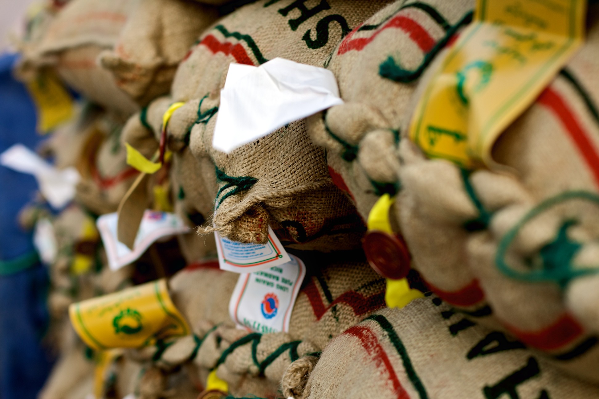 ProgIntl_TR's tweet card. Küçük çiftçiler dünyanın temel gıda tedarikçileridir. Büyük şirketleri değil, küçük çiftçileri dinlemek zorundayız.